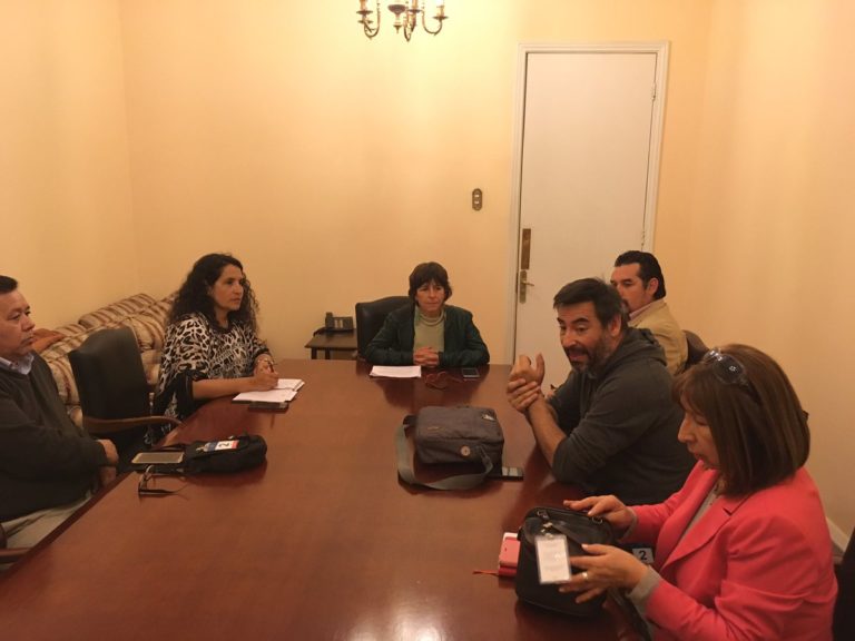 Secretaría Nacional de Educación PPD se reunió con diputada Girardi