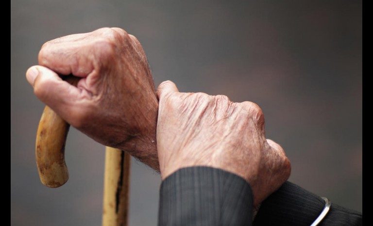 Reforma: que se integre a Presupuesto 2019 aumento de Pilar Solidario