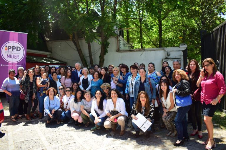 Exitosa jornada con mujeres PPD de cinco regiones