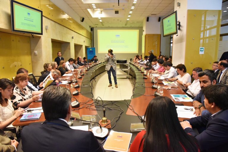 PPD rechaza remoción del Secretario Ejecutivo hecha por la intendenta Karla Rubilar