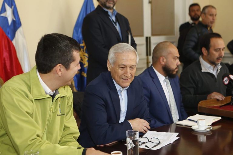 PPD adhiere a campaña #DesarmemosChile con parlamentarios y dirigentes locales