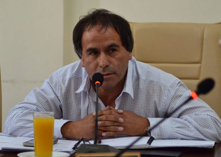 Sebastián Maturana, concejal: “Estamos visibilizando al PPD en Curicó”