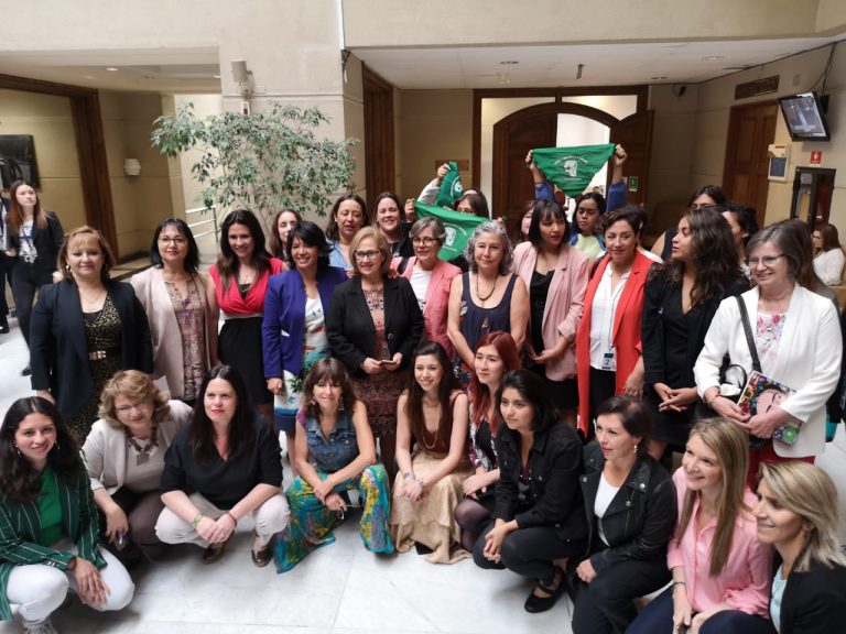 Parlamentarias, dirigentas y organizaciones de mujeres y feministas exigen Constituyente Paritaria