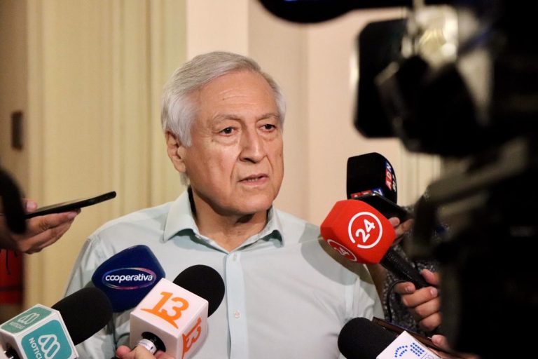 Heraldo Muñoz y campaña por plebiscito: “Tenemos que balancear unidad y diversidad”