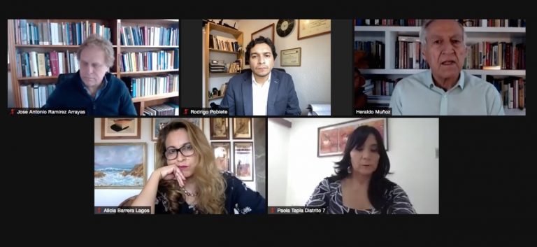 PPD insiste: Tribunal Constitucional no puede ser quien limite la voluntad popular expresada en el Congreso