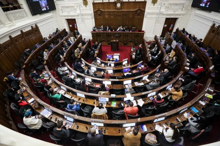 Declaración Pública Secretaría Nacional DDHH del PPD sobre documento discutido en la Convención Constitucional