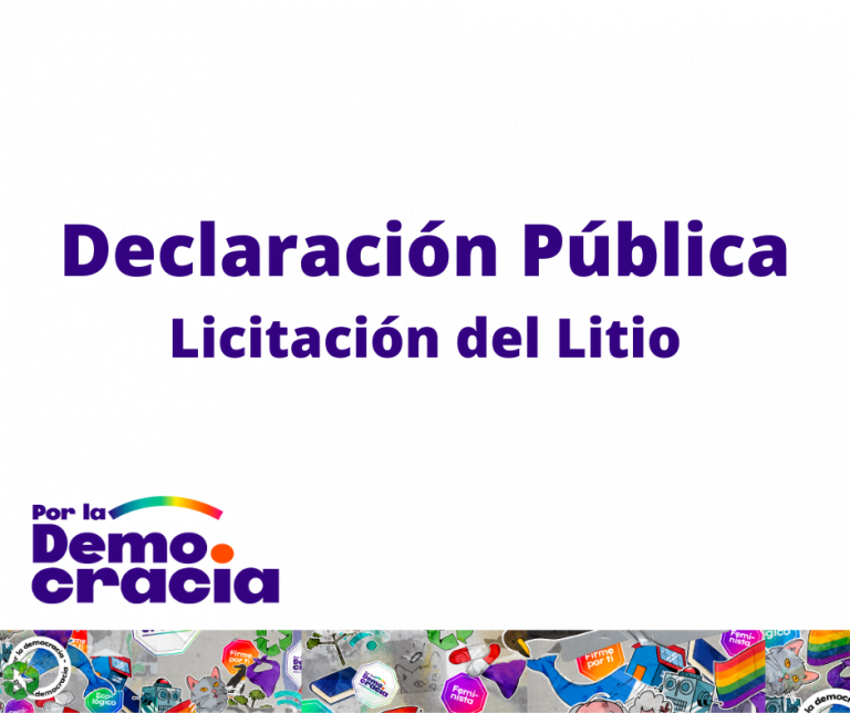 Declaración Mesa Directiva Nacional  PPD por licitación del litio