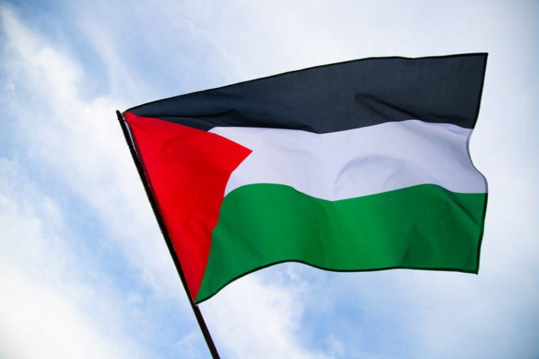 Día Internacional de Solidaridad con el Pueblo Palestino
