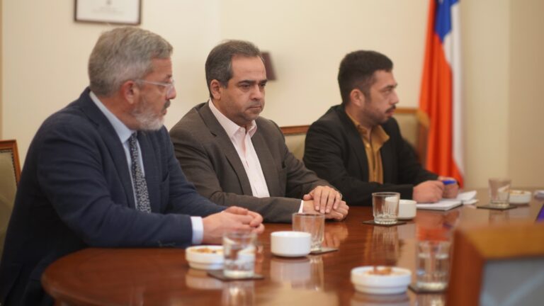 Quintana destaca avances en la reducción de homicidios en Chile según informe del Gobierno.